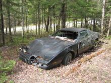 Abandoned F-Body in the woods (2007)
Chertsey QC