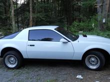 1983 SE Firebird