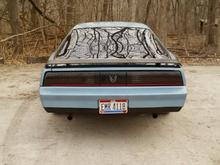 82Rear