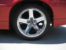 RIMS 008