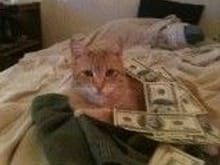 If anything fellas show some love to the MoneyCat! shes kicks ass and pays the Bills.
 NO you cant have her! she knows jujitsu..so dont play!