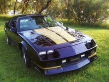 Heritage 91, black gold, has now all new black vinyl seats, on stock seats, 15 inch gold rims z28,  fogs, t top, NOTE: came out of junk yard $400 dollar car.