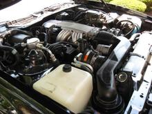 Car Collection 3 13 11 085