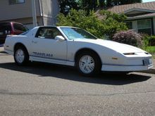 1984 15th Anniversary TA
