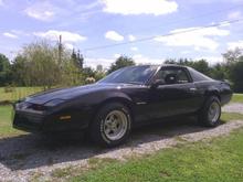 Black Pheonix