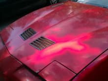 Painted Louvers