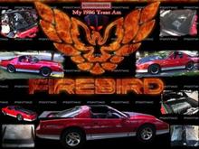 my 86 trans am photo