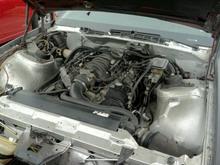 IMG 7873