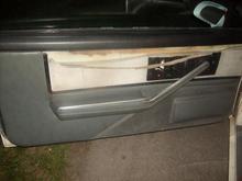 Left door panel