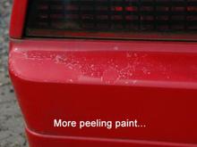 Clearcoat is shot on this car. It's peeling up everywhere.
