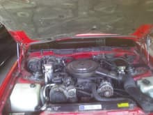 This is the engine as it has looked since I got the car