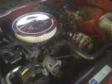Recent pictures after cleaning out the engine bay