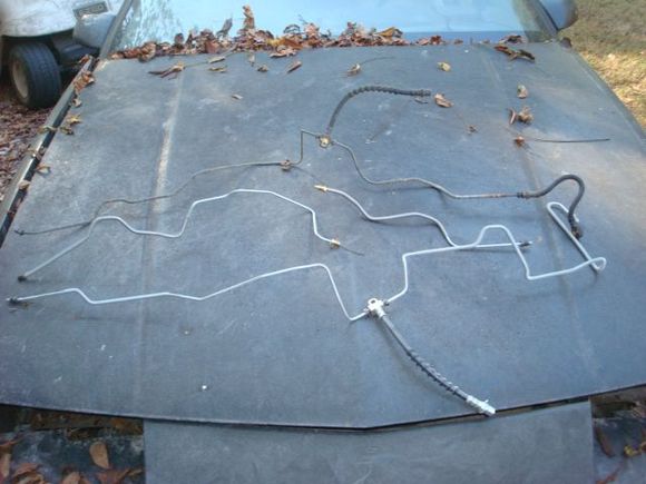 3 sets of brake line, the factory lines off the spare 89 rear that had PBR's, the set I got last year that turned out to be wrong and the set that just came in.