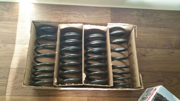 Eibach pro kit springs