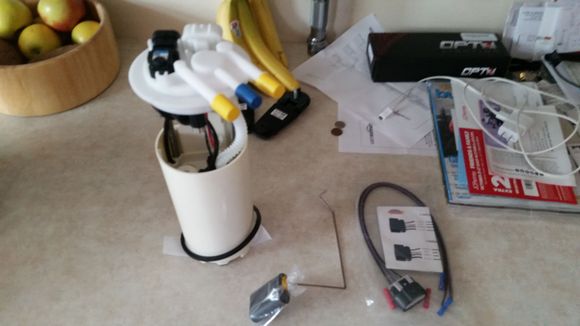New fuel pump, I'm not taking the tank back out once the rear end is in!