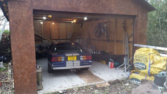 New home for the winter