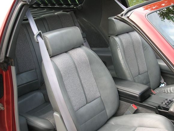 Leather / Cloth interior