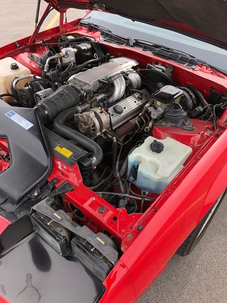 I’m guessing when they cleaned up the engine bay, they may have dissembled some of it and not put it back 100%.