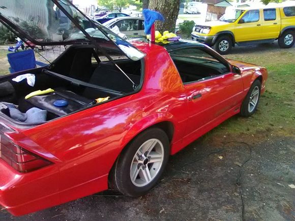 Here she is with one side done. I couldn't believe the difference.