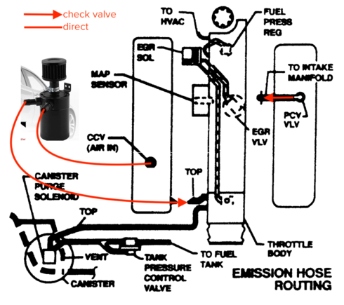 catch can / check valves for PCV / boost