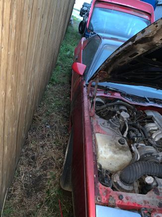 Maroon passenger side fender