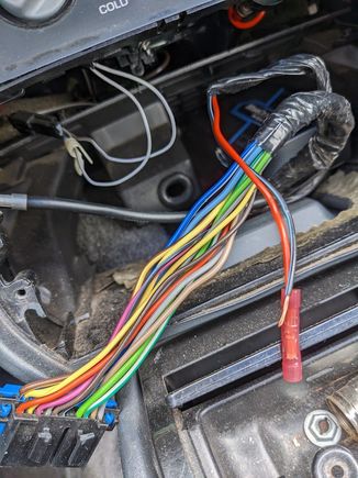 What connector is supposed to be on the end of these?