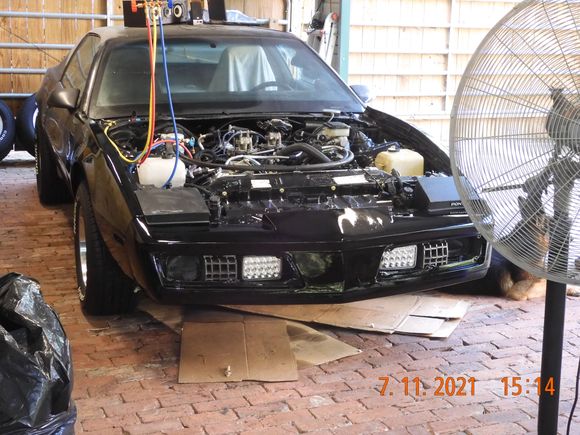 Painted the fenders and nose last night.