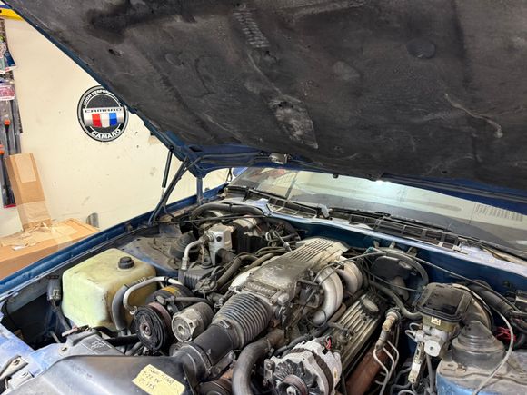I did replace the hood struts so I felt like I got something done.