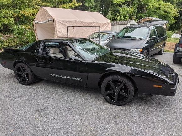 Its really coming together now!