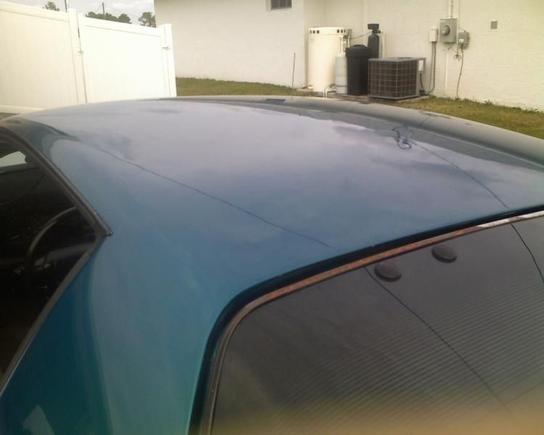 Photo 013010 009