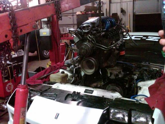 im gonna miss my 305 tpi. it was stout for what it was, especially with the tune.