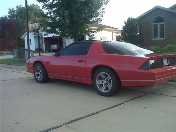 my baby with new tint on her :) needs a bath though