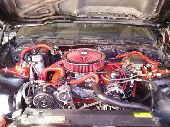 Chevy Red 355.