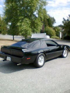 My 1982 TA (305 V8)
