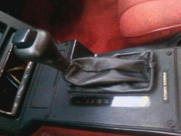 Custom leather (Yes, Actual Leather)