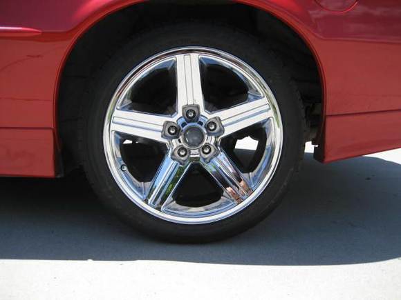 RIMS 008