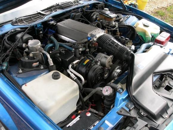 Engine Bay