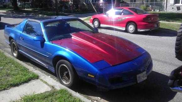 firebird