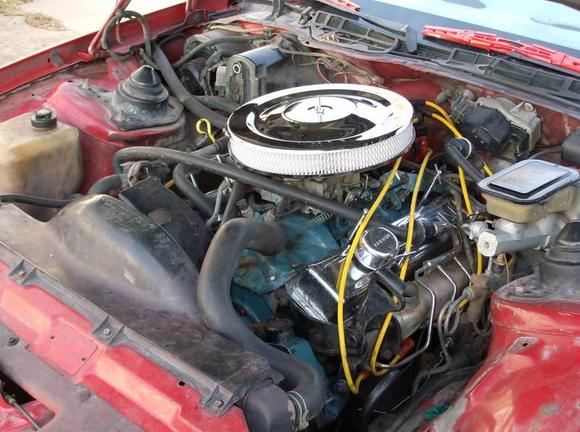 new plugs and cleaner 2 month