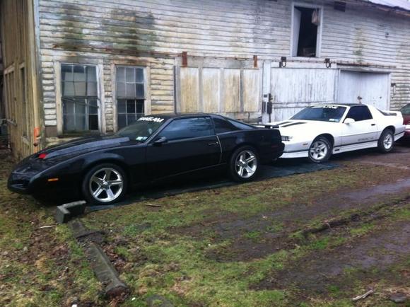 My beasts sharing center stage