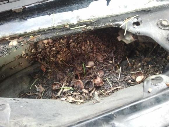 Wiper area