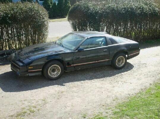 When I first finished her
