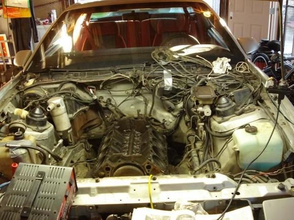transam3