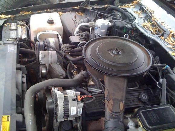 305 tbi
auto trans
CANT GET IT TO RUN :(!