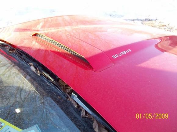 Functional hood from 1985 Trans Am
