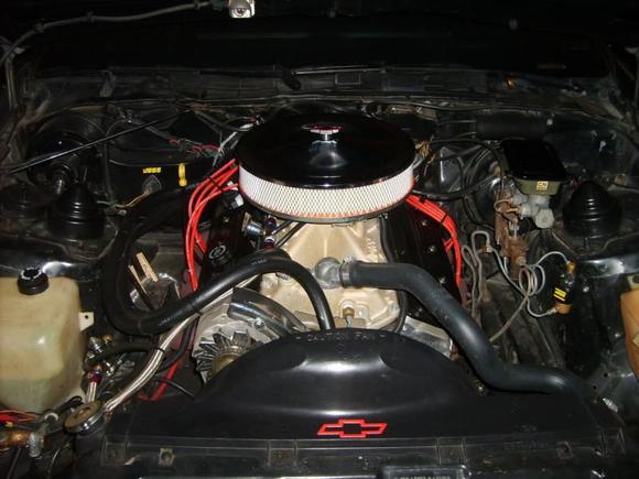 rsz sd531733