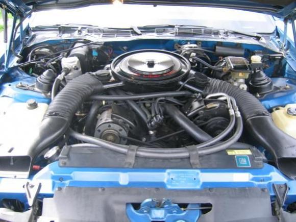 IMG 6215