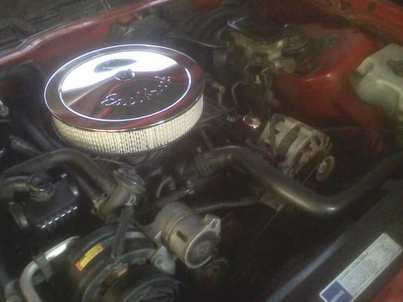 Recent pictures after cleaning out the engine bay