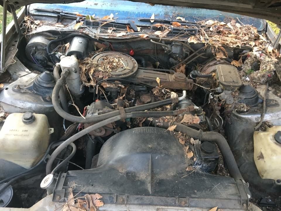 Iron duke Third Generation FBody Message Boards