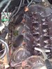 top end rebuild